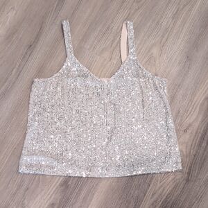 Love on a Hanger Glittering Silver Camisole Size Large